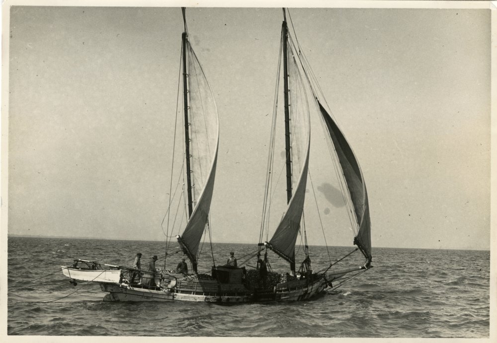 98-177 (click for large image)